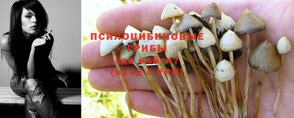 не бодяженный Дмитриев