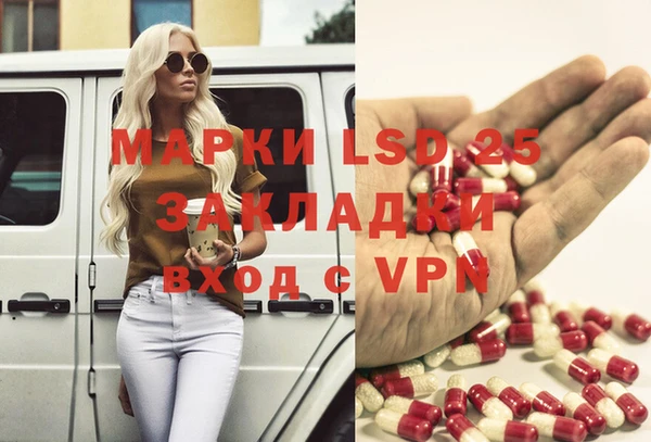 мяу мяу кристалл Дмитров