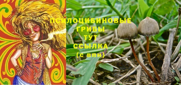 не бодяженный Дмитриев