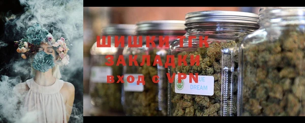 мяу мяу кристалл Дмитров